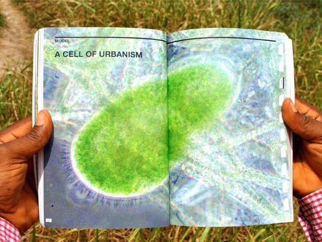 08 Rurban cell