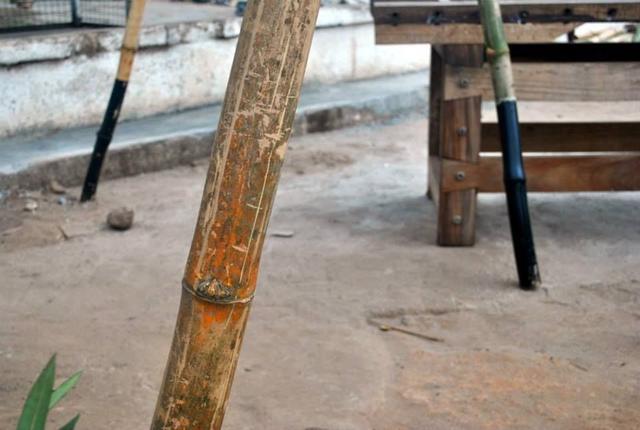 38 Bamboo transponder