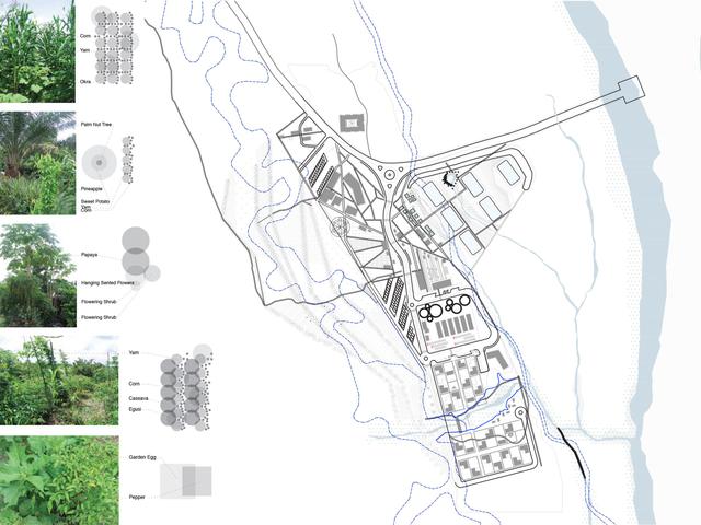 drawing Ogwuyo ebenebe